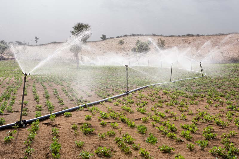 Water sustainability for sustainable agriculture - Irrigation of groundnut crop using sprinklers in Bikaner district, Rajasthan - an efficient water-saving irrigation technology